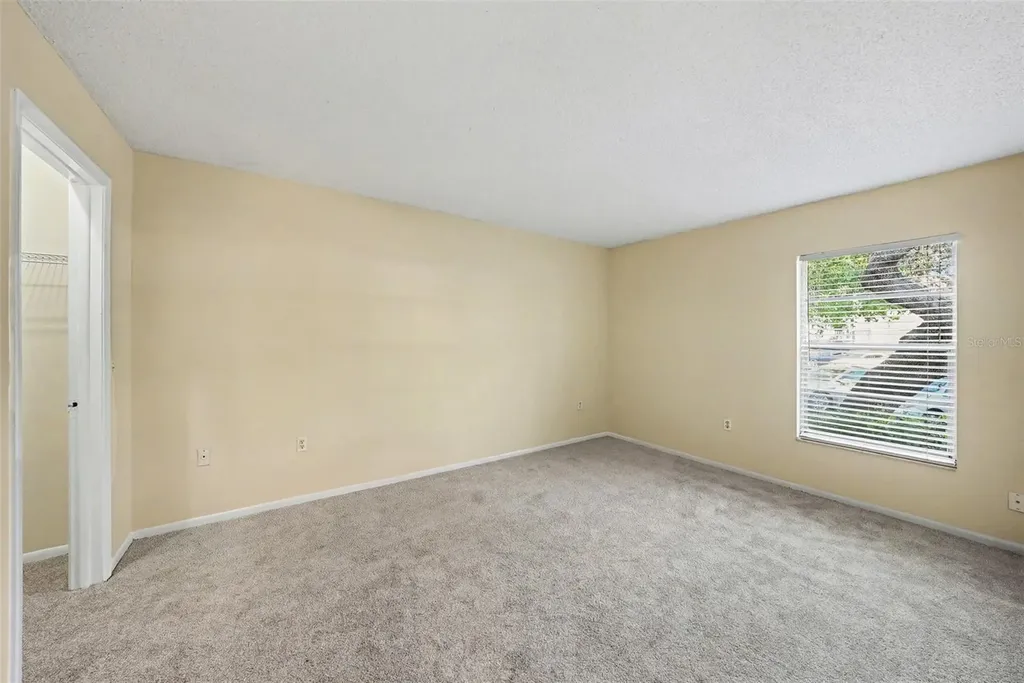 14319 Hanging Moss Circle Tampa FL 33613