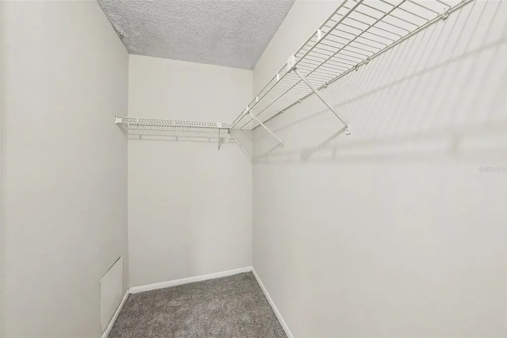 14319 Hanging Moss Circle Tampa FL 33613