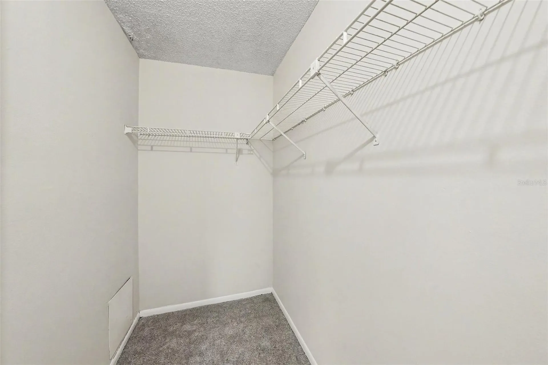 14319 Hanging Moss Circle Tampa FL 33613