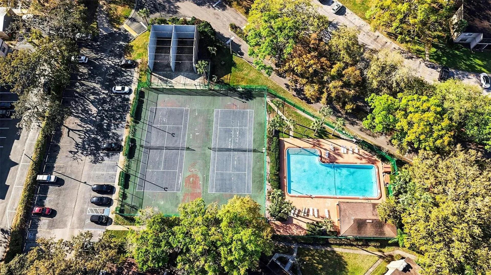 14319 Hanging Moss Circle Tampa FL 33613