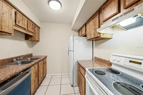 14319 Hanging Moss Circle Tampa FL 33613