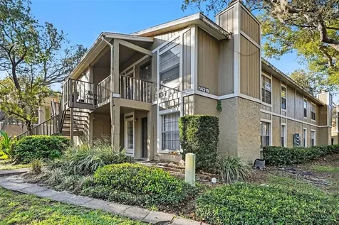 14319 Hanging Moss Circle Tampa FL 33613
