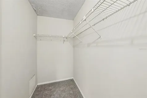 14319 Hanging Moss Circle Tampa FL 33613