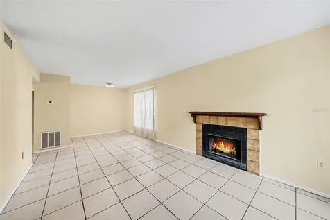 14319 Hanging Moss Circle Tampa FL 33613