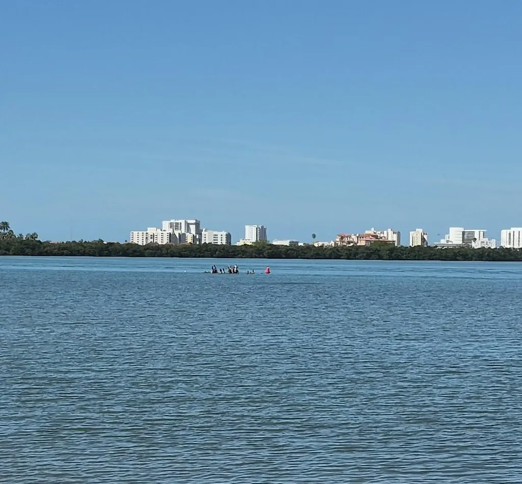 500 N Osceola Avenue Clearwater FL 33755
