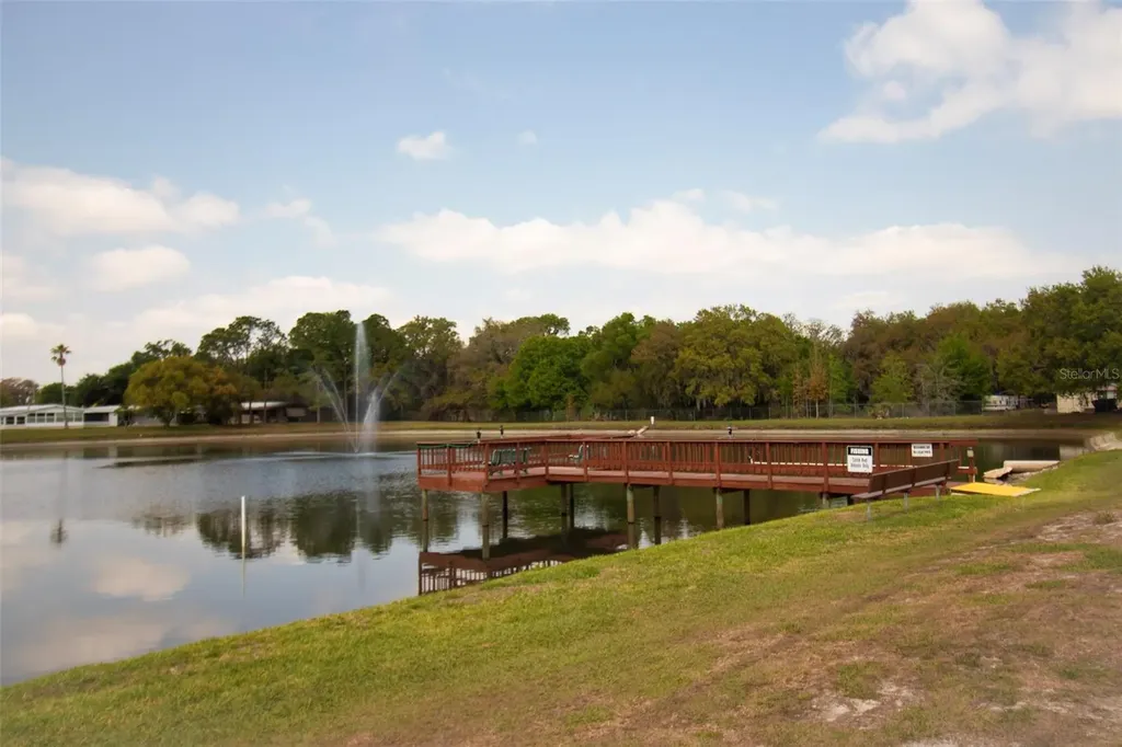 3024 Briar Street Wesley Chapel FL 33543