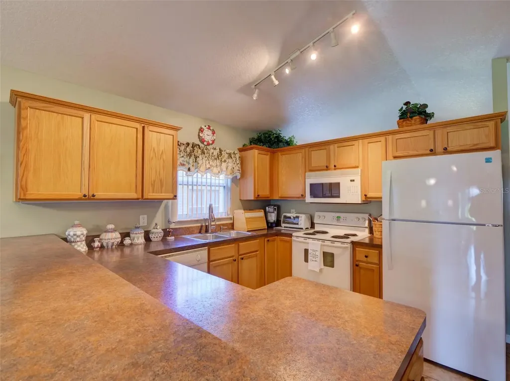 25134 Cranes Roost Circle Leesburg FL 34748