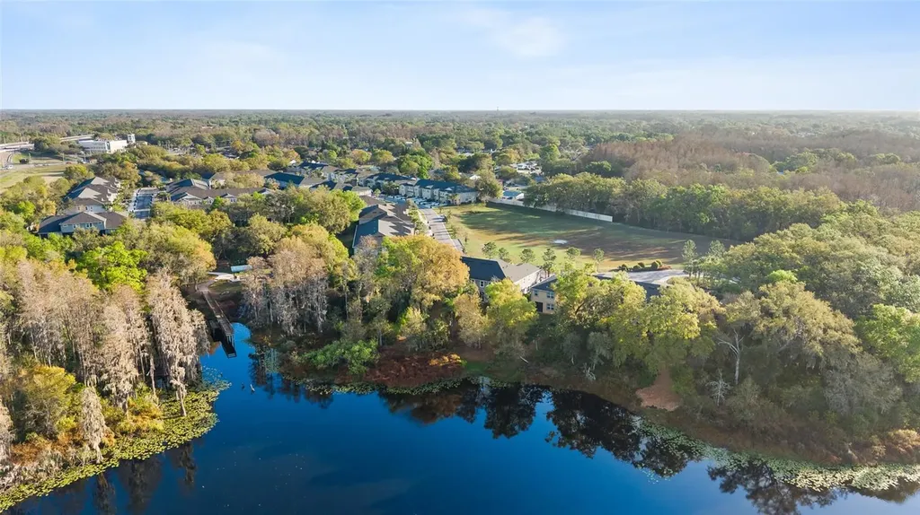 14205 Damselfly Drive Tampa FL 33625