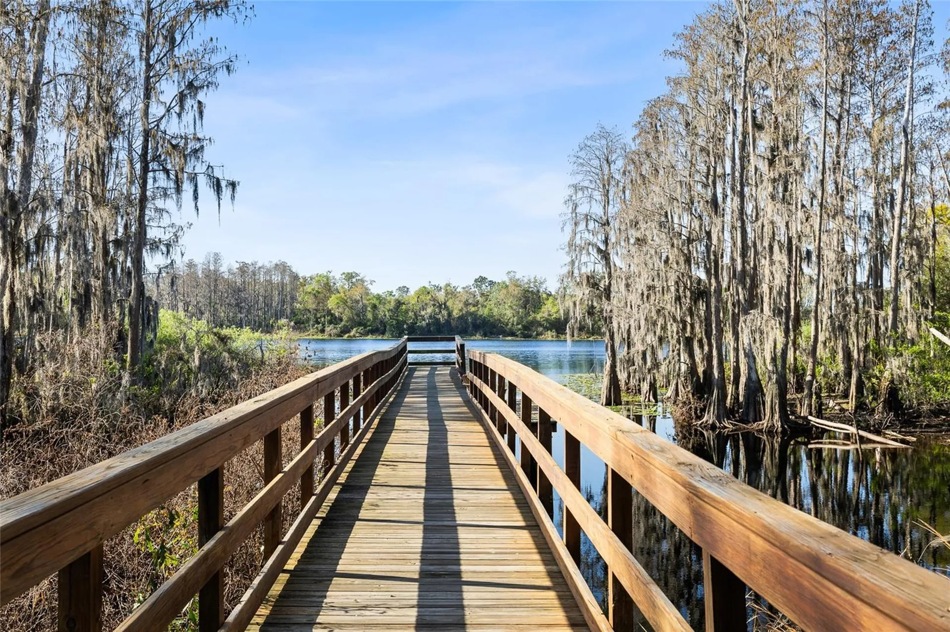 14205 Damselfly Drive Tampa FL 33625