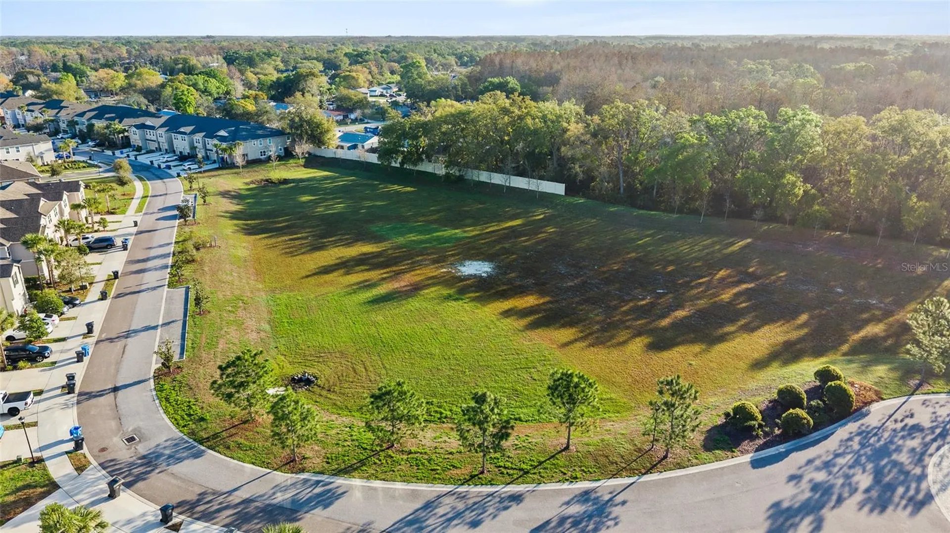 14205 Damselfly Drive Tampa FL 33625