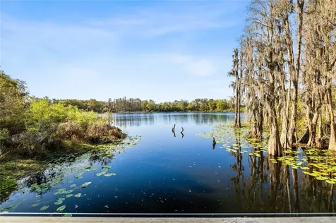 14205 Damselfly Drive Tampa FL 33625