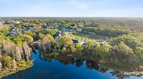14205 Damselfly Drive Tampa FL 33625