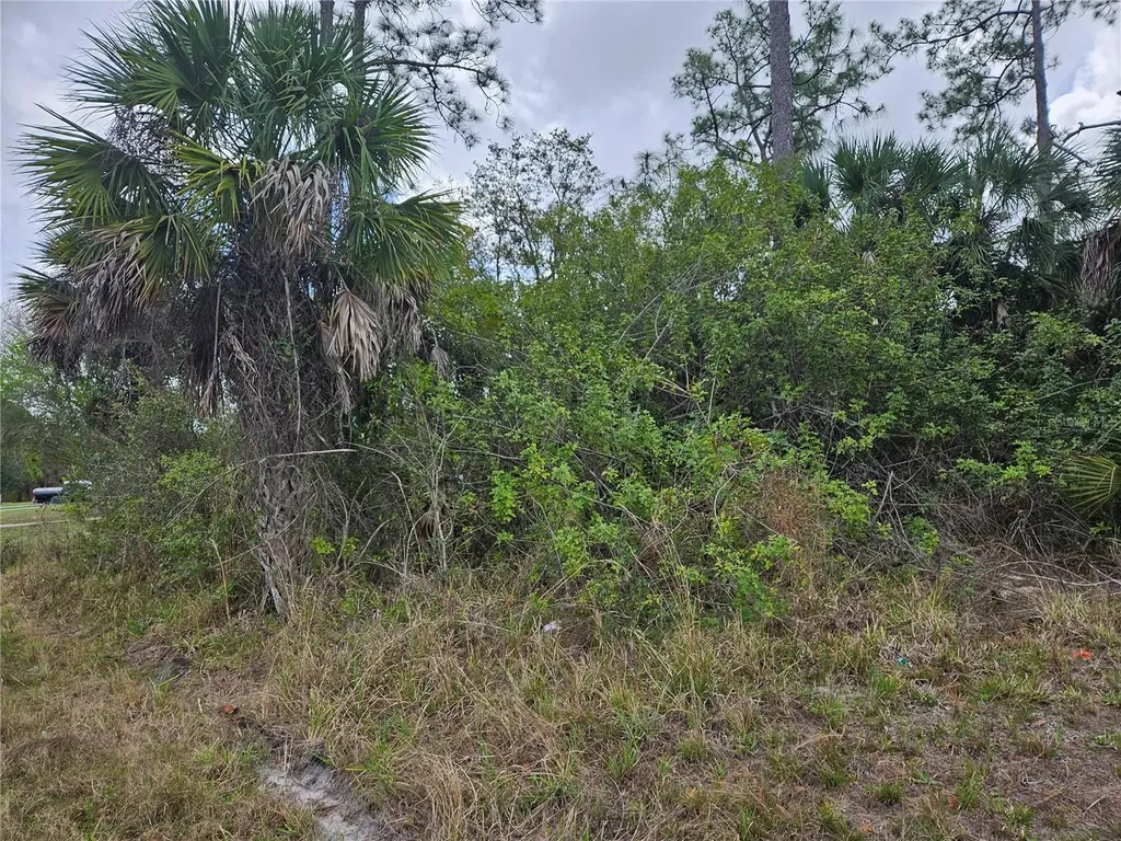 20339 Bachmann Boulevard Port Charlotte FL 33954