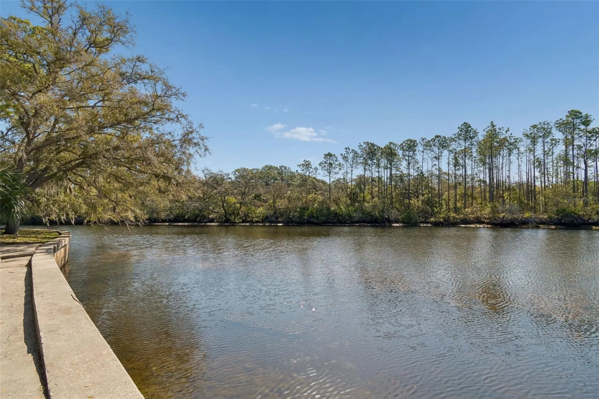 1238 Flotilla Drive Holiday FL 34690