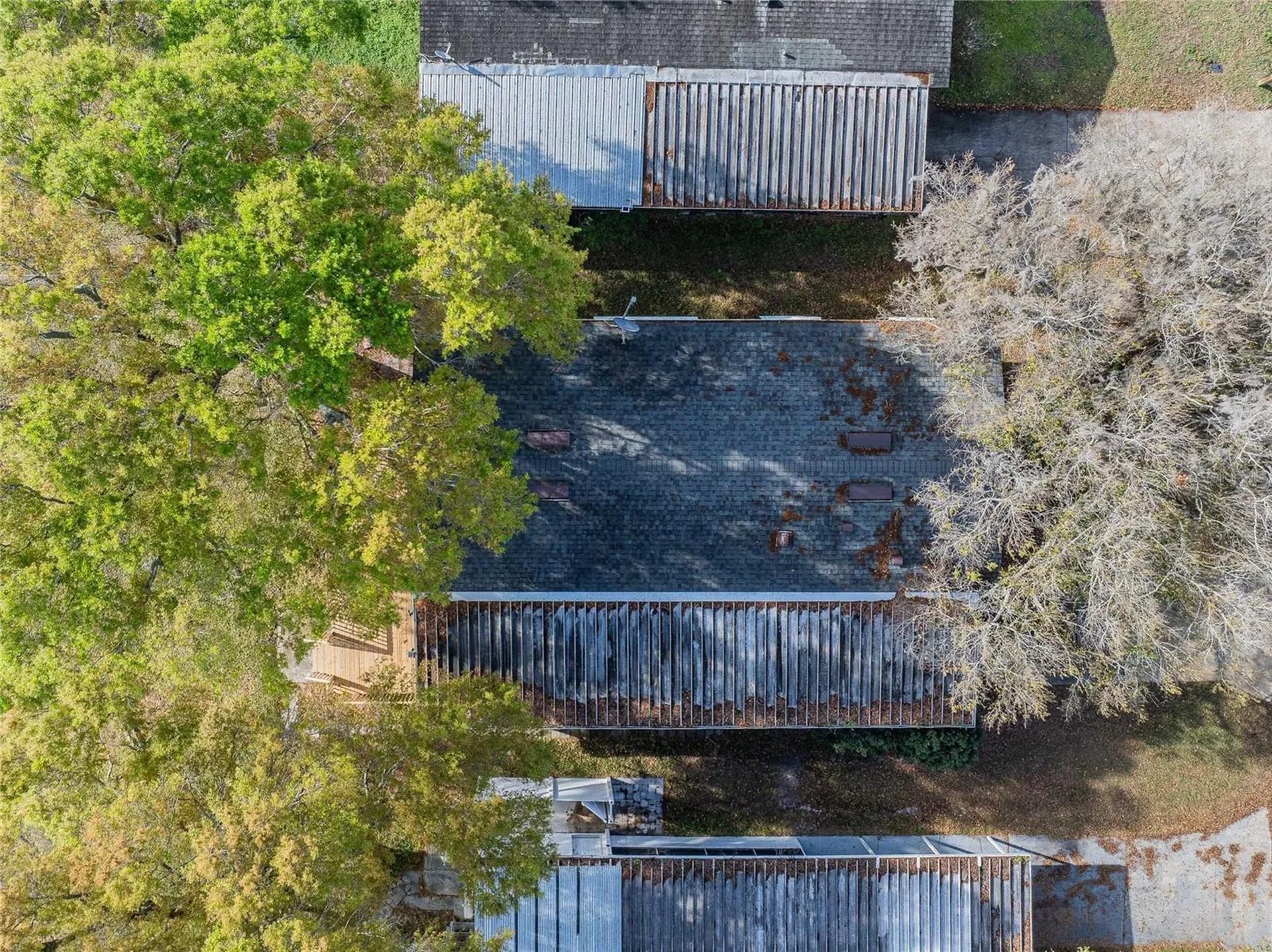 1154 Country Club Lane Lakeland FL 33801