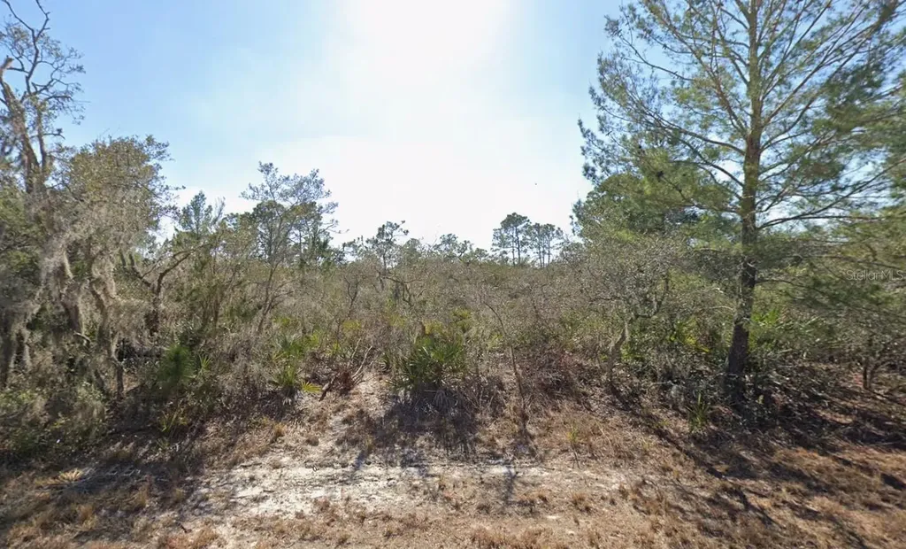 3235 N Dahlia Drive Lake Placid FL 33852