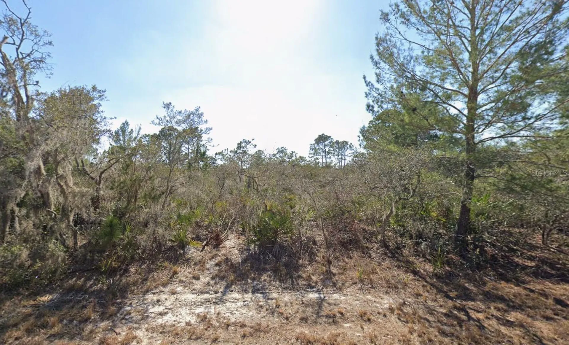 3235 N Dahlia Drive Lake Placid FL 33852
