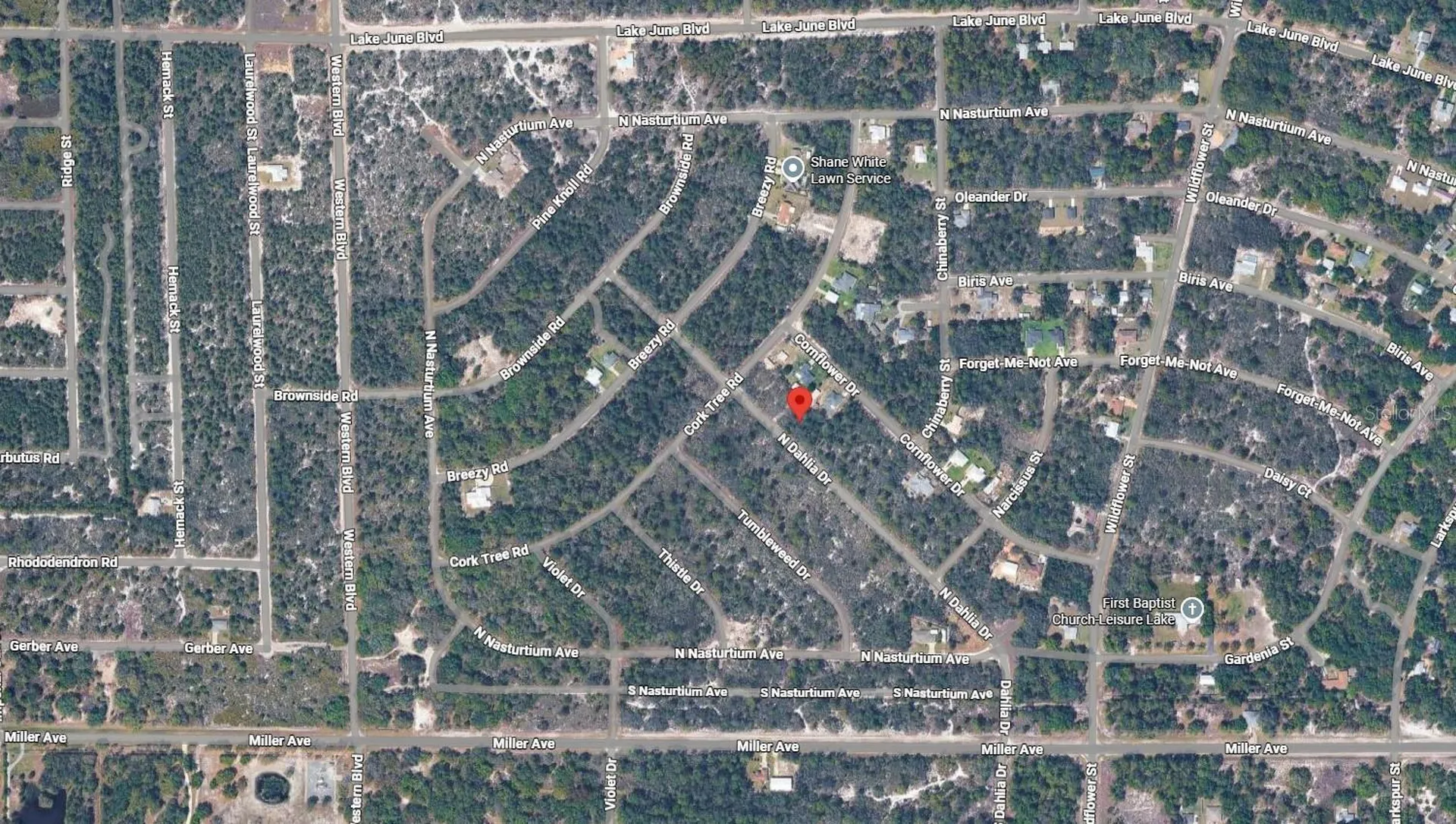 3235 N Dahlia Drive Lake Placid FL 33852