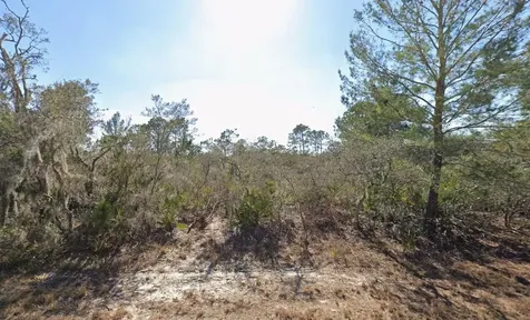 3235 N Dahlia Drive Lake Placid FL 33852