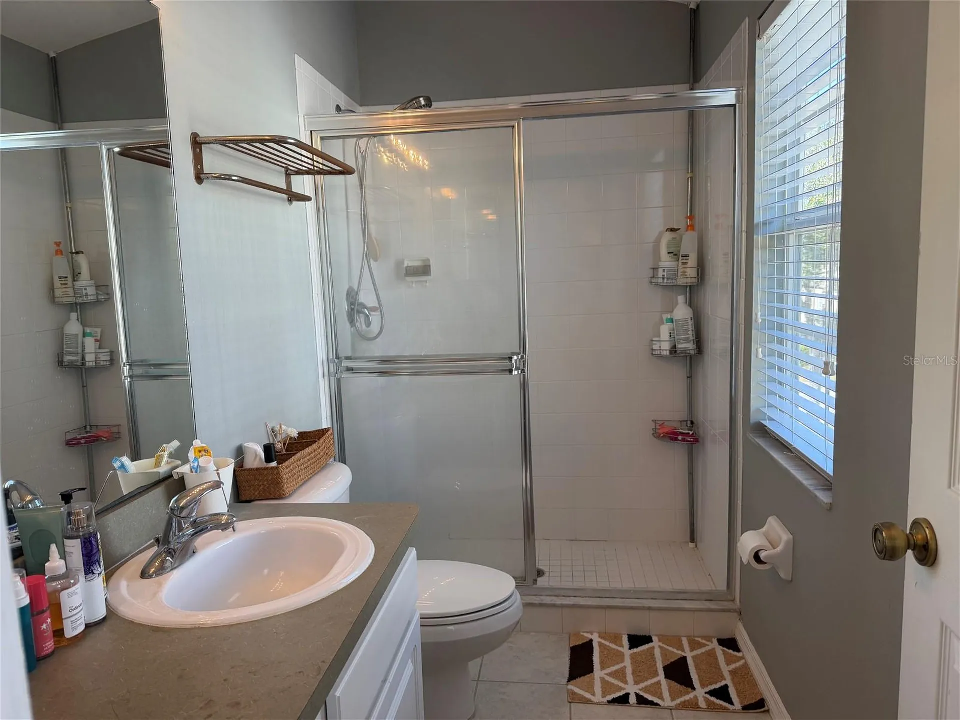 11253 Windsor Place Circle Tampa FL 33626