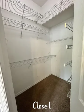 11253 Windsor Place Circle Tampa FL 33626