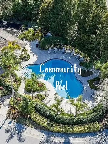 11253 Windsor Place Circle Tampa FL 33626