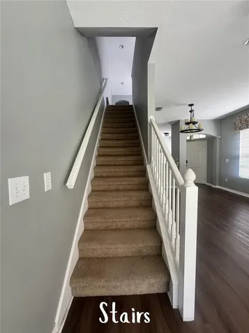 11253 Windsor Place Circle Tampa FL 33626