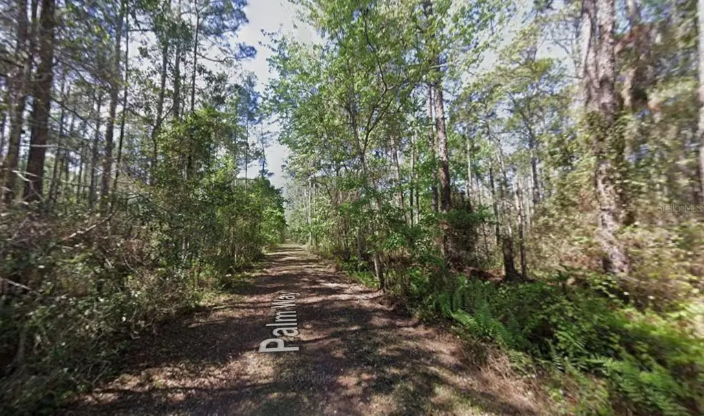 418 Palm Way Georgetown FL 32139