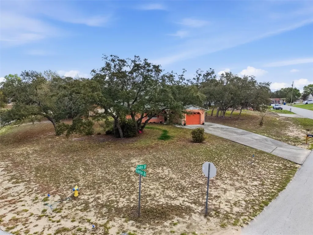 12229 Cedro Street Spring Hill FL 34609