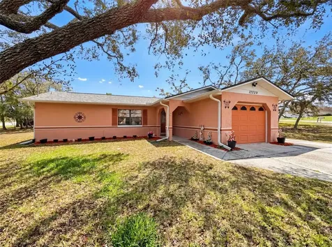 12229 Cedro Street Spring Hill FL 34609