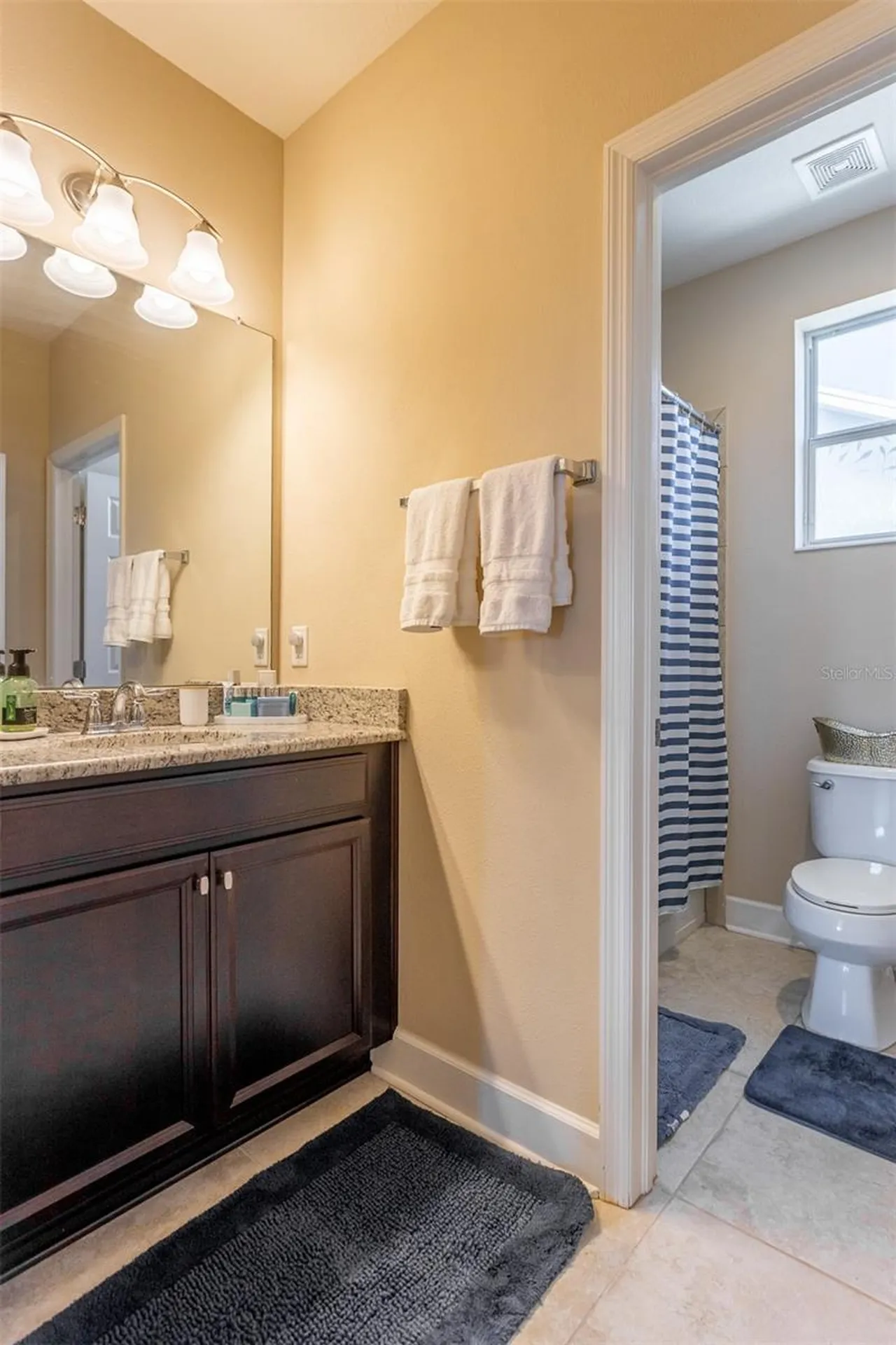 11143 Winthrop Lake Drive Riverview FL 33578