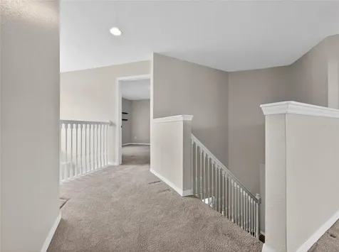 3808 Caledonia Avenue Apopka FL 32712