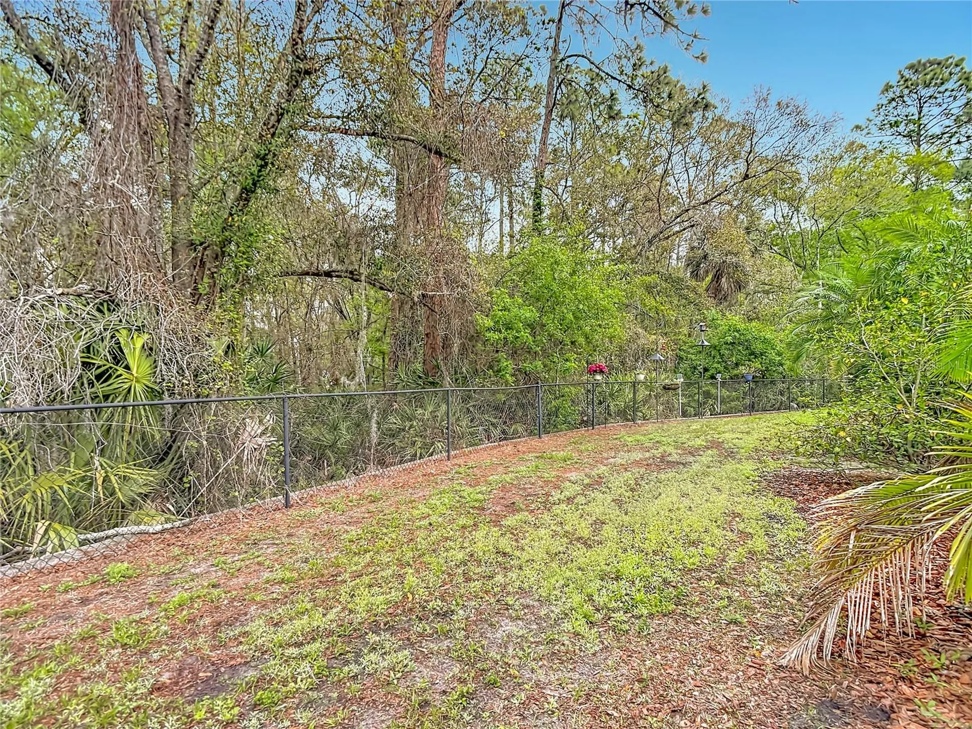 12516 Streamdale Drive Tampa FL 33626