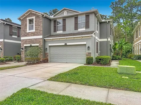 12516 Streamdale Drive Tampa FL 33626