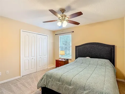 12516 Streamdale Drive Tampa FL 33626