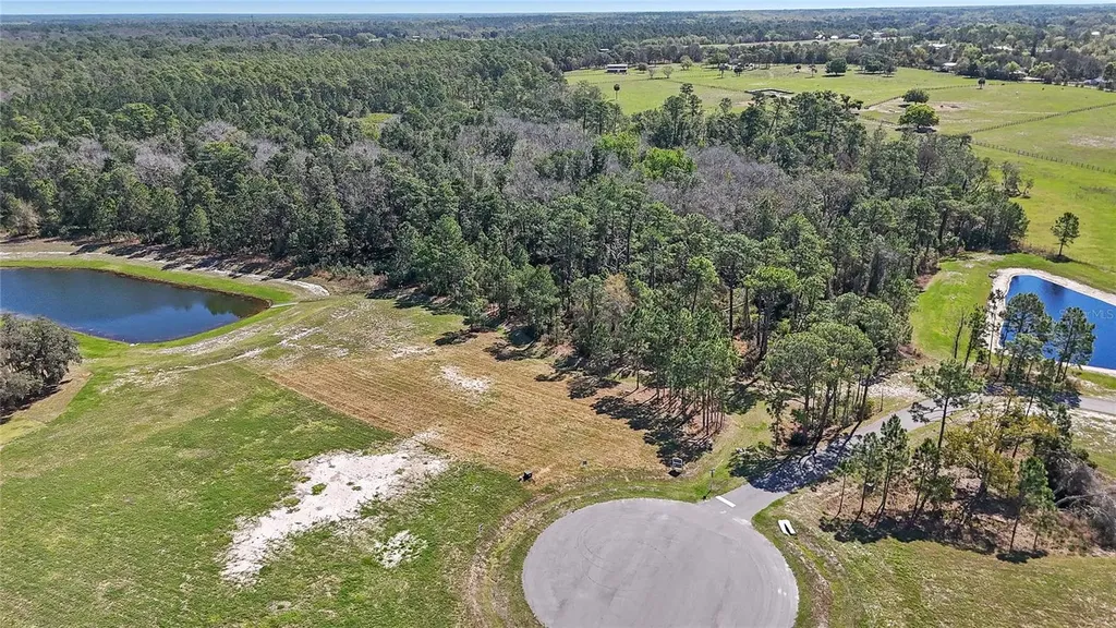 20280 Shoreline Ranch Lane Umatilla FL 32784