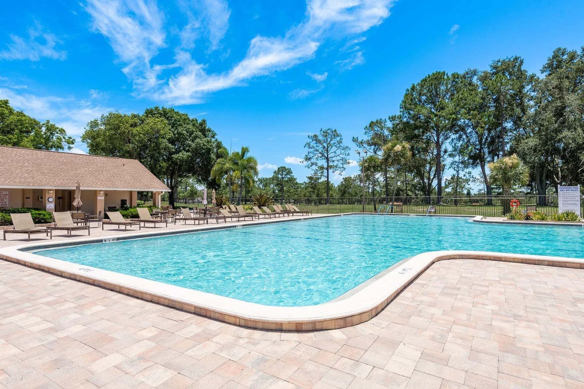 3305 Gorse Court Palm Harbor FL 34684