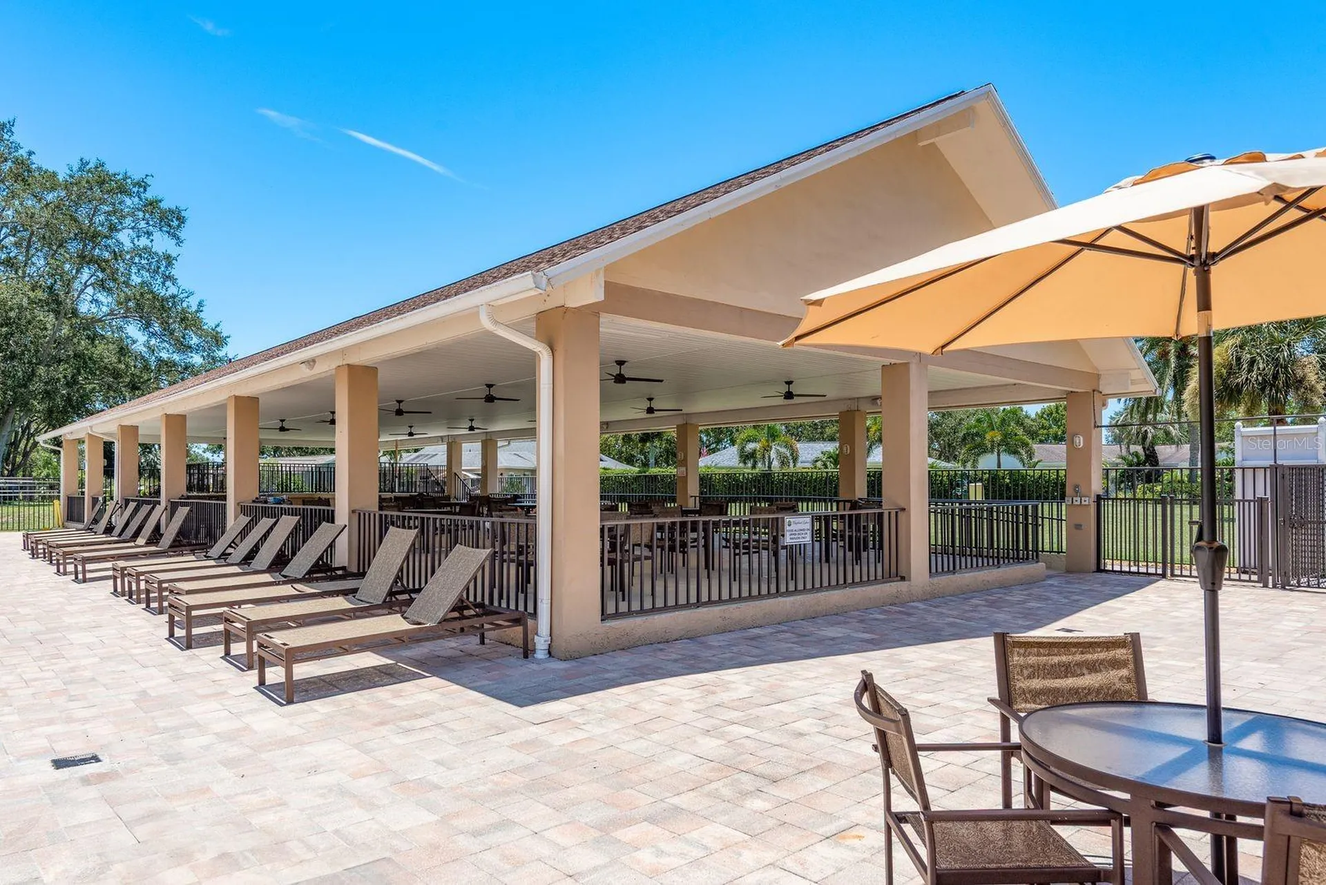 3305 Gorse Court Palm Harbor FL 34684