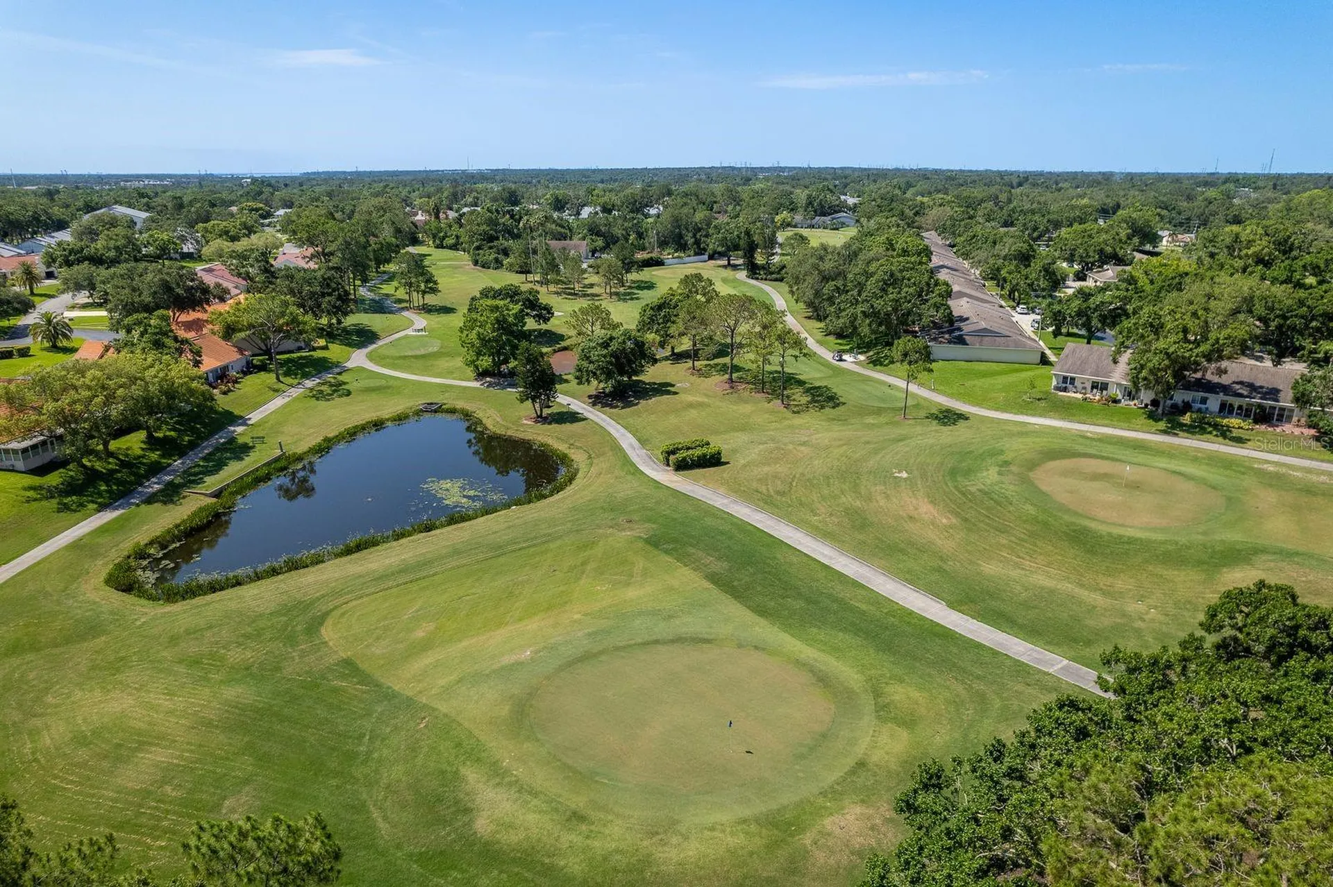 3305 Gorse Court Palm Harbor FL 34684