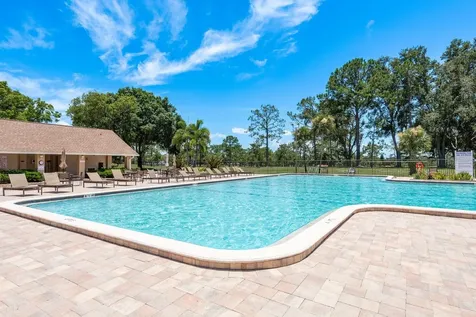 3305 Gorse Court Palm Harbor FL 34684