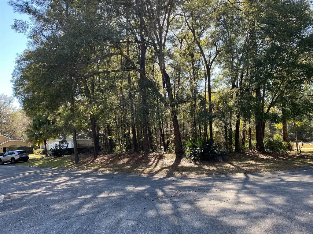 12345 NW 10th Place Newberry FL 32669