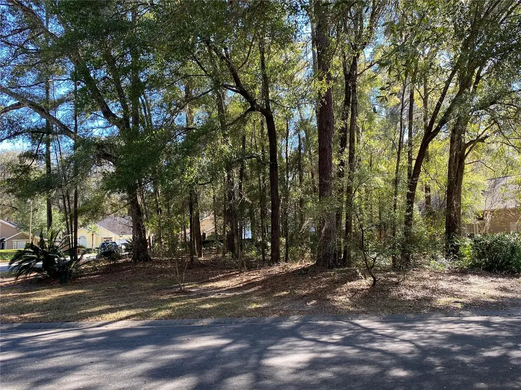 12345 NW 10th Place Newberry FL 32669
