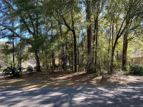 12345 NW 10th Place Newberry FL 32669