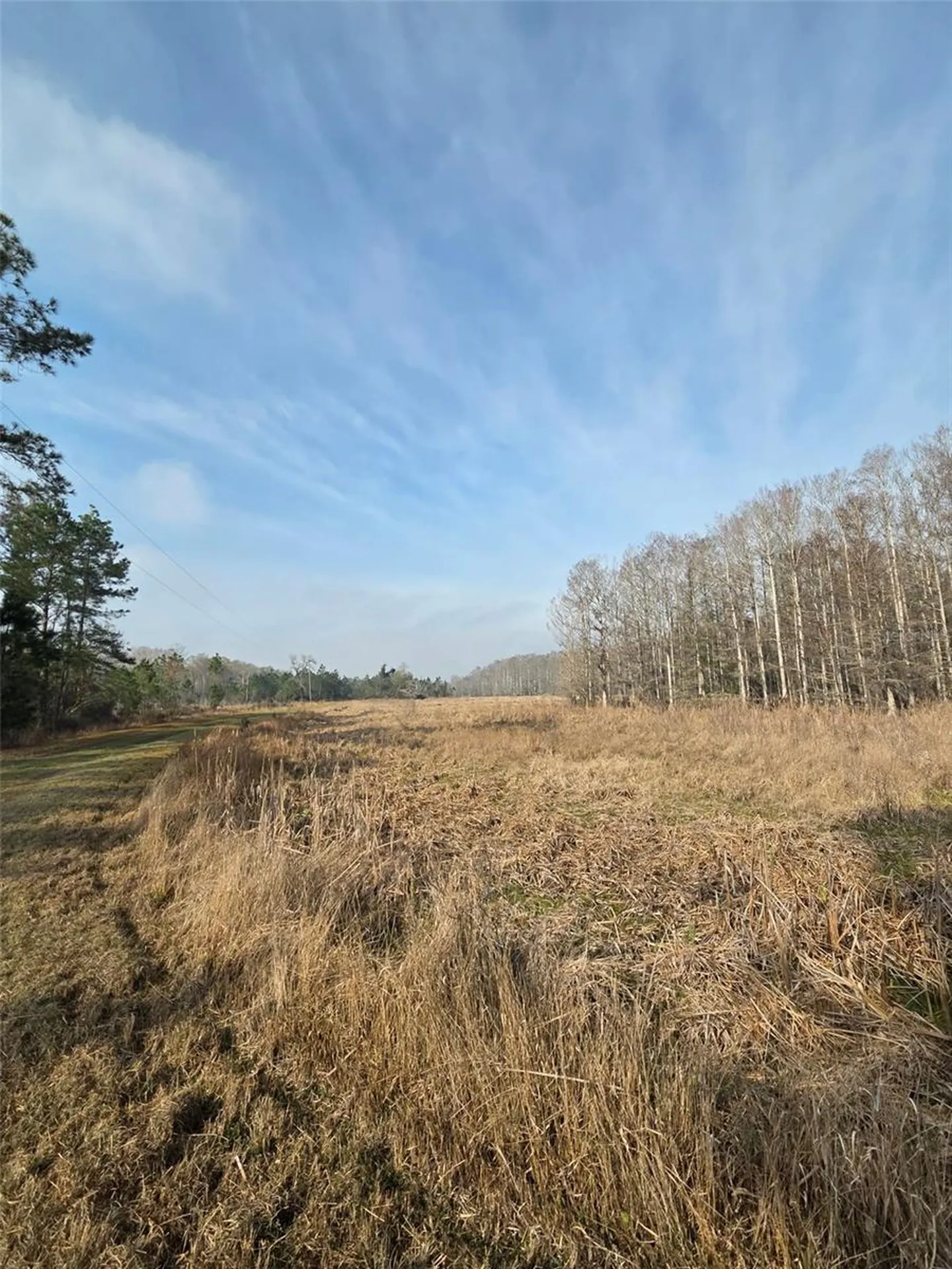 1106 Fox Hunter Road Perry FL 32348