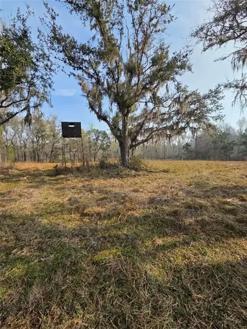 1106 Fox Hunter Road Perry FL 32348