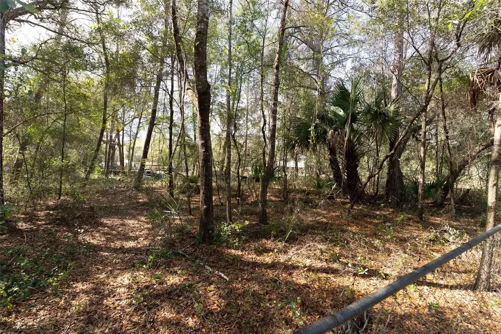 14881 NE 147th Avenue Fort Mc Coy FL 32134