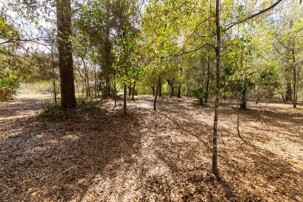 14881 NE 147th Avenue Fort Mc Coy FL 32134