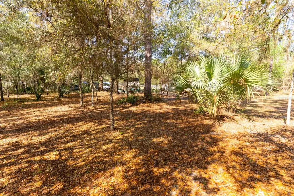 14881 NE 147th Avenue Fort Mc Coy FL 32134