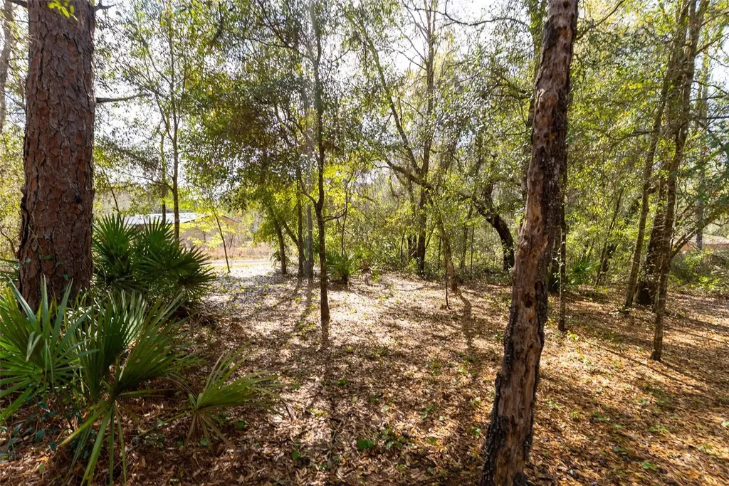 14881 NE 147th Avenue Fort Mc Coy FL 32134