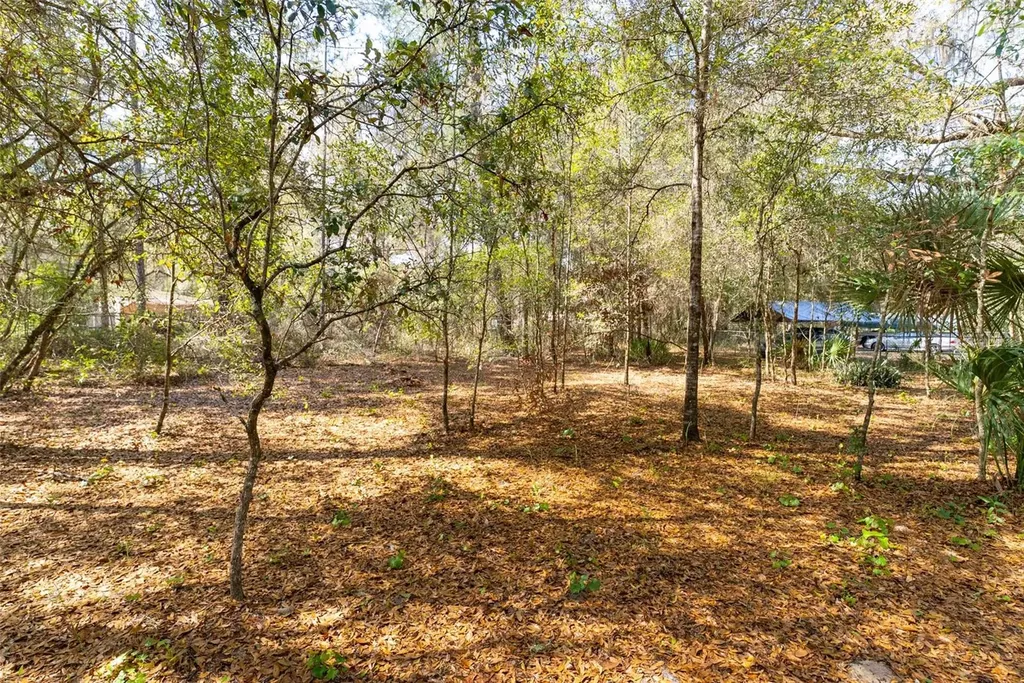 14881 NE 147th Avenue Fort Mc Coy FL 32134